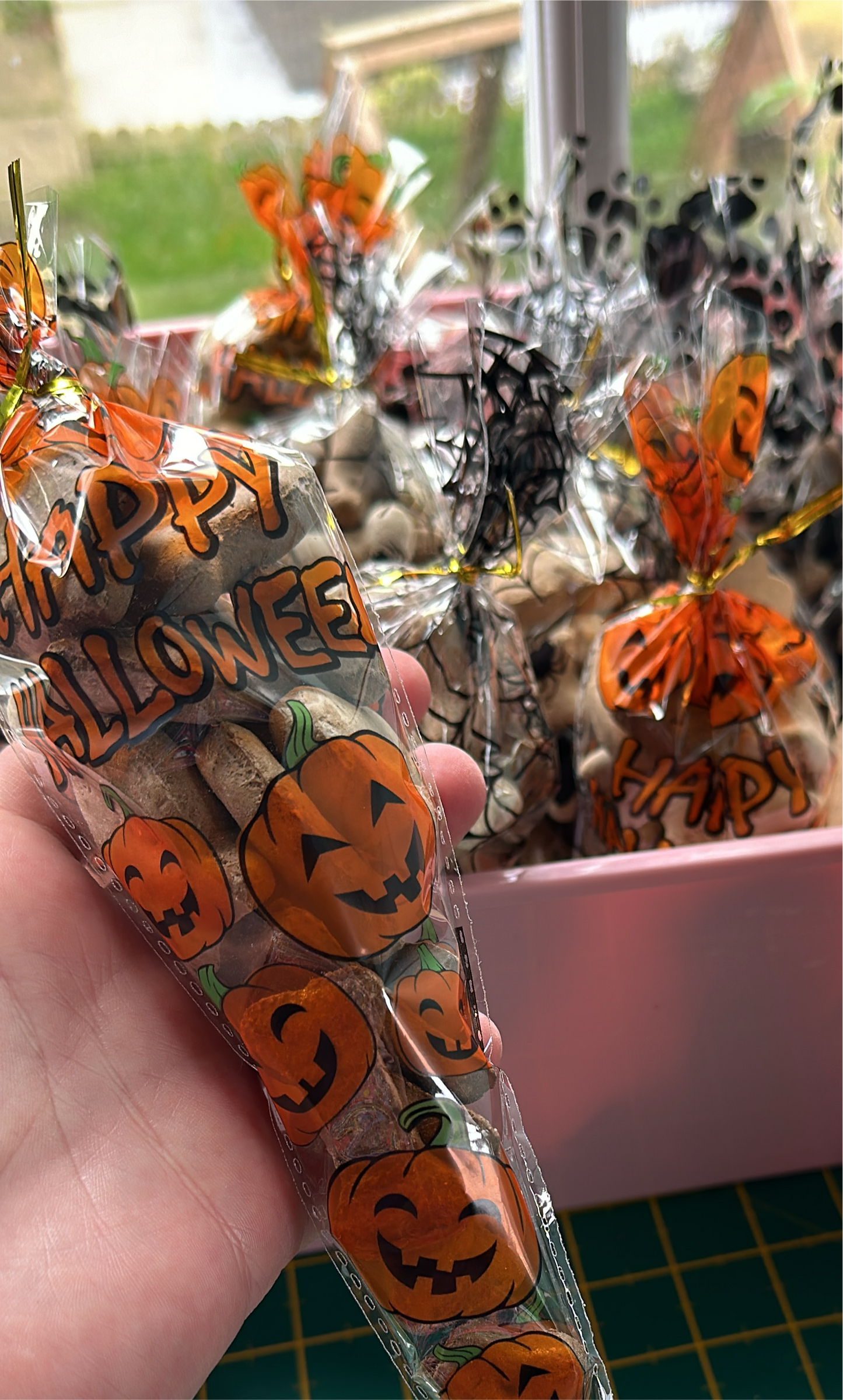 Halloween Dog Treat Cone