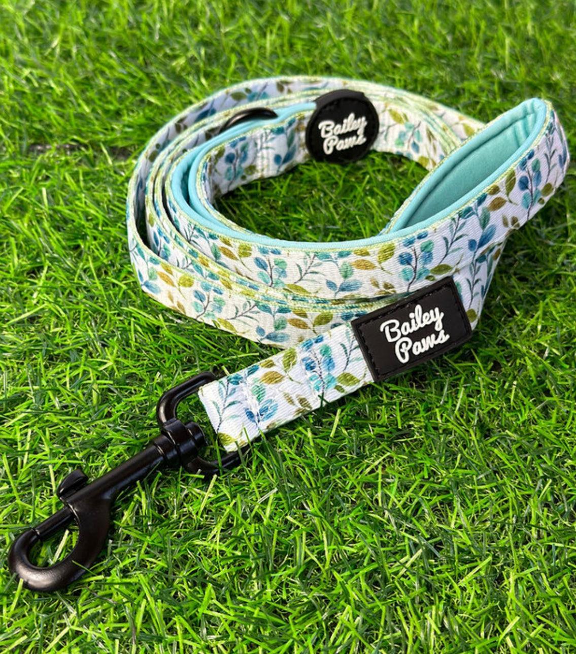 Stylish Dog Lead