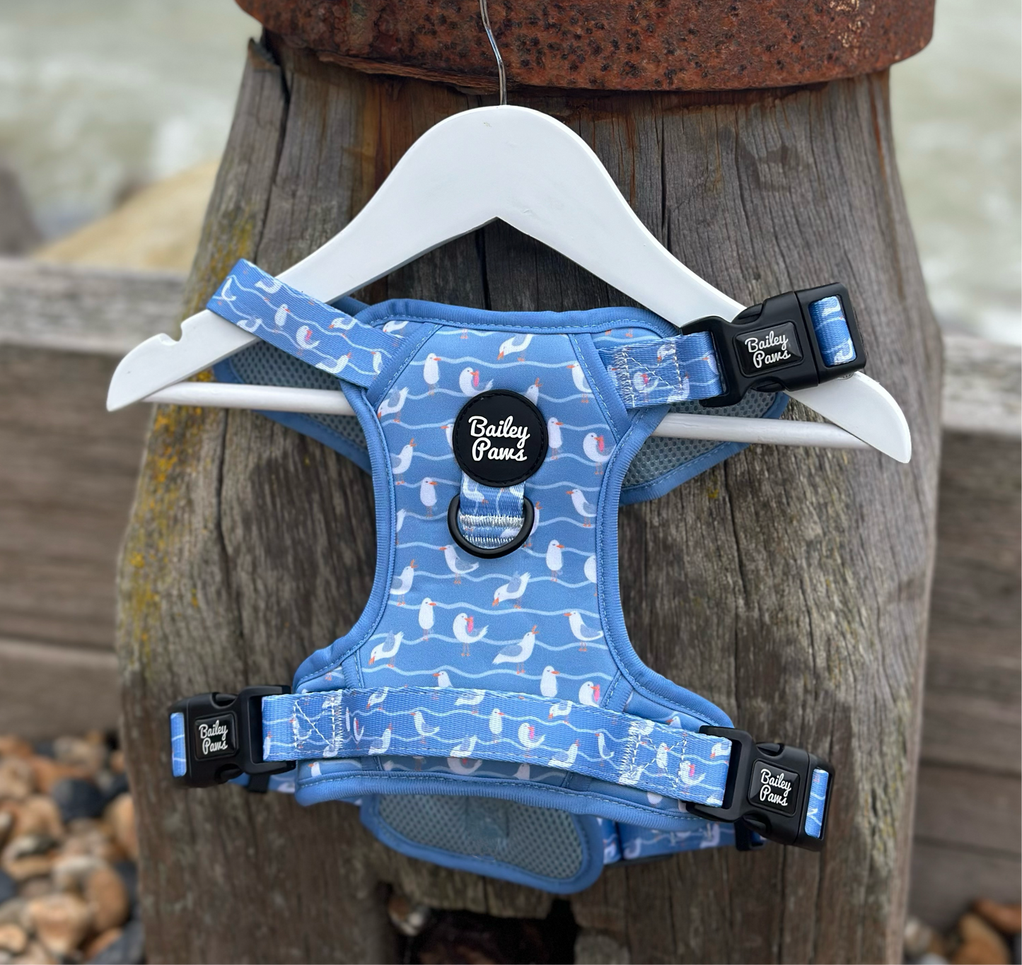 Strong Trails - Salty Seagull Harness