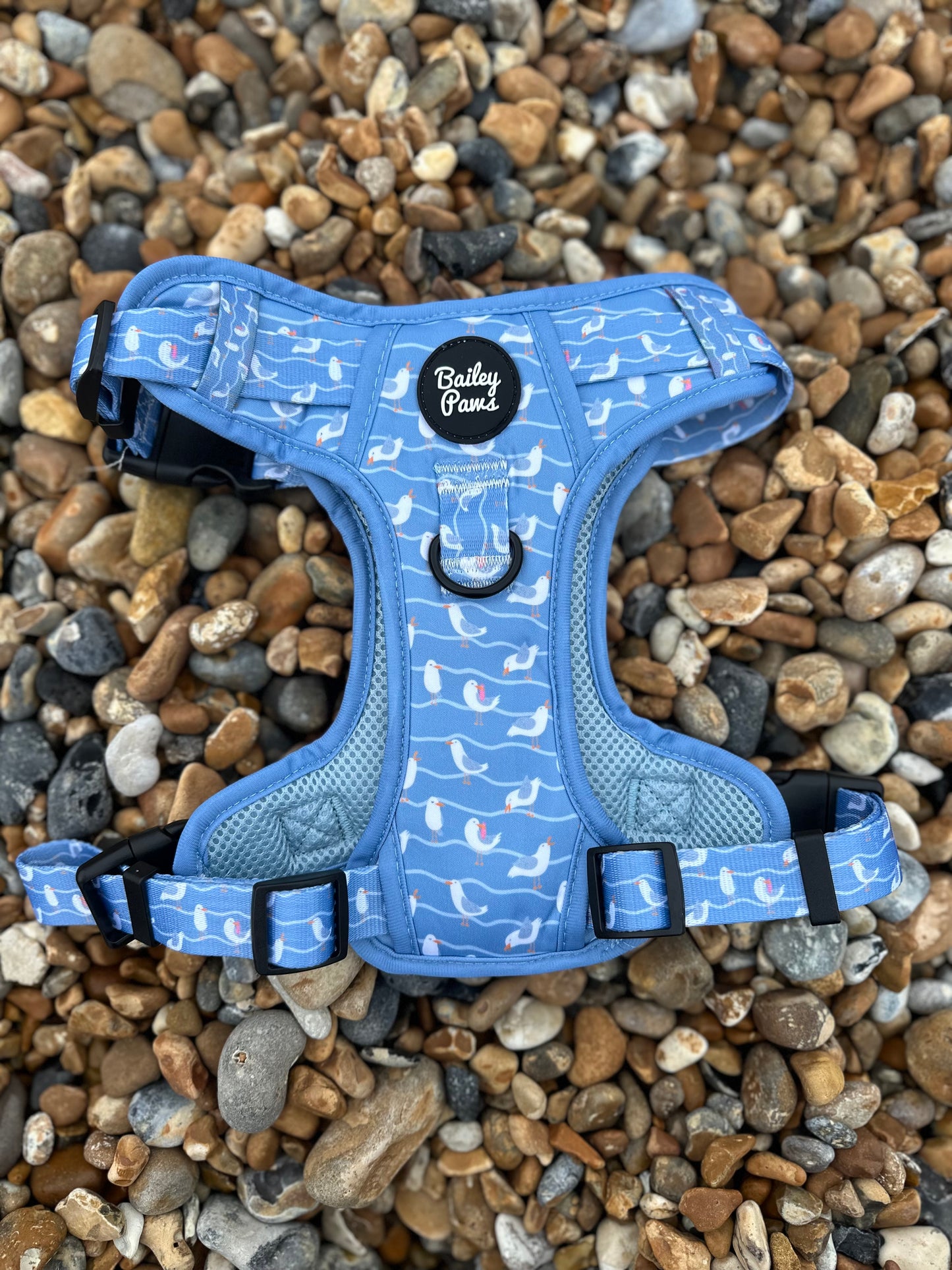 Strong Trails - Salty Seagull Harness