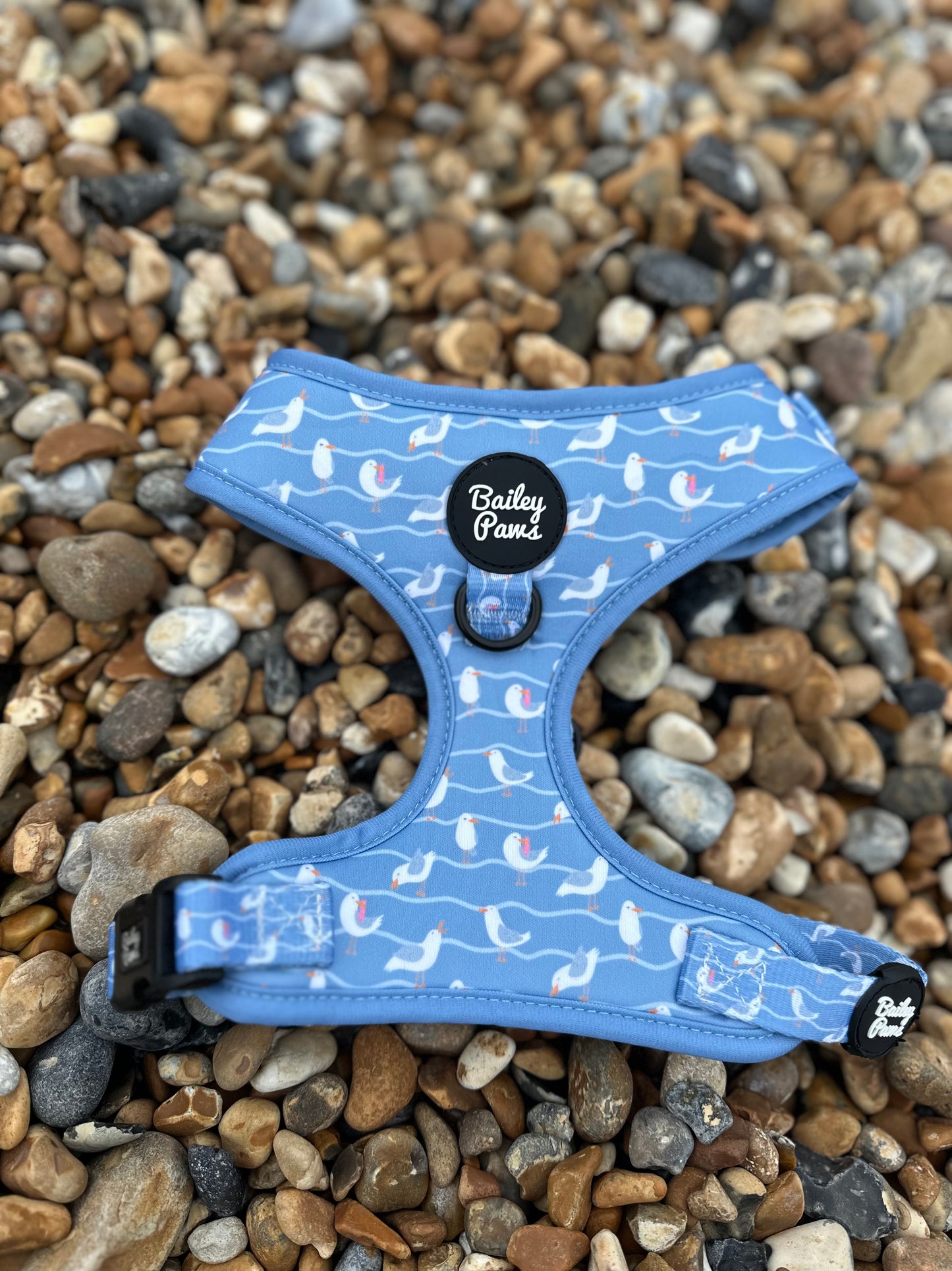 Salty Seagull Harness