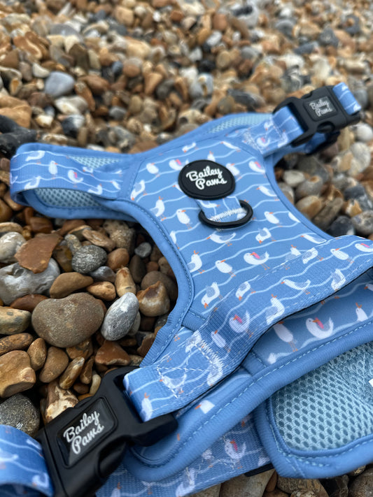 Strong Trails - Salty Seagull Harness