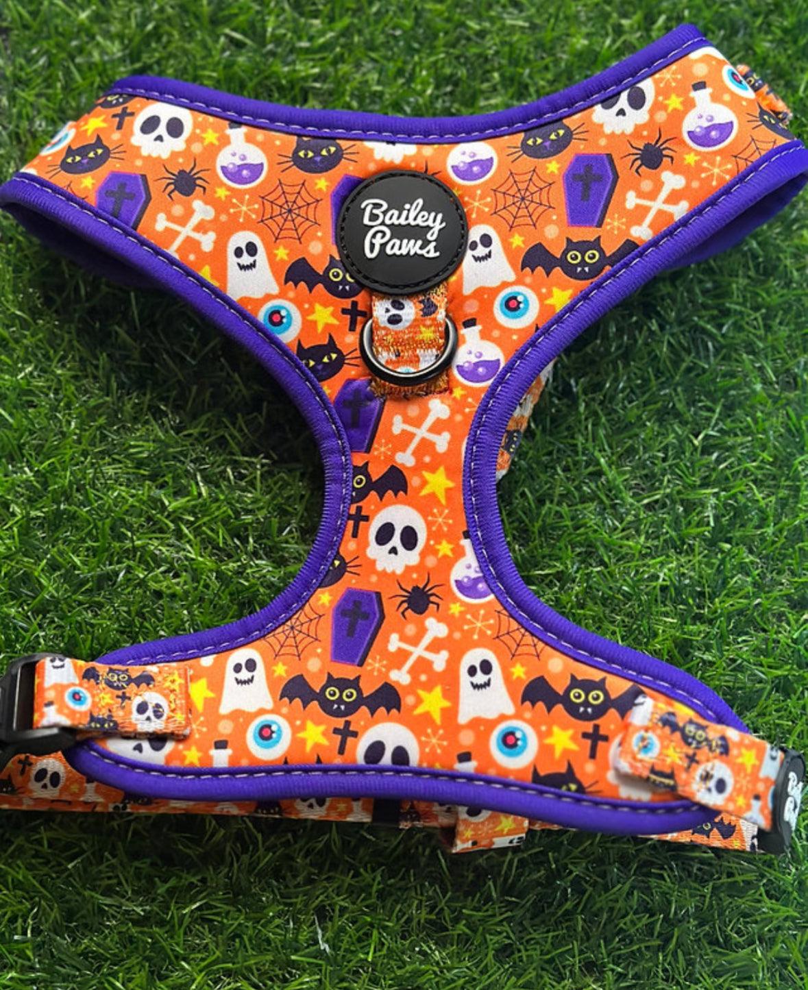 Adjustable Halloween Harness