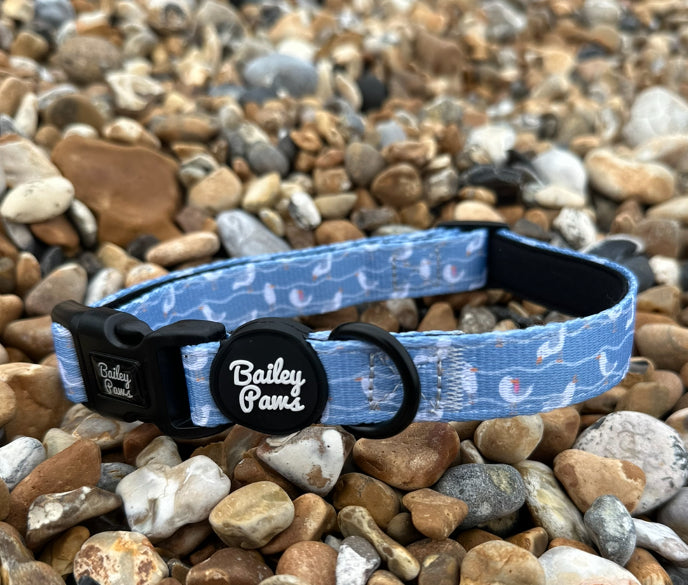 Salty Seagull Collar