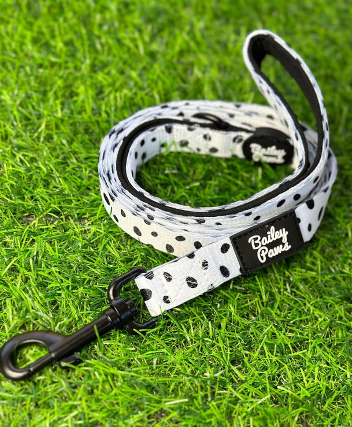 Ditsy Dotty Dog Lead