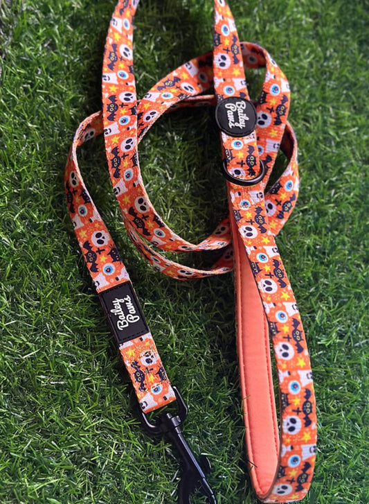 Dog Lead with Swivel Clip