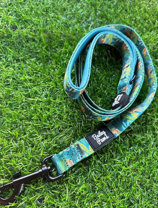 Padded Dog Lead