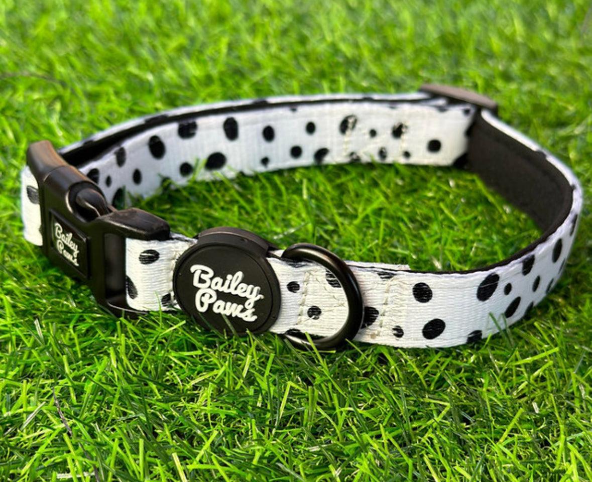 Ditsy Dotty Dog Collar