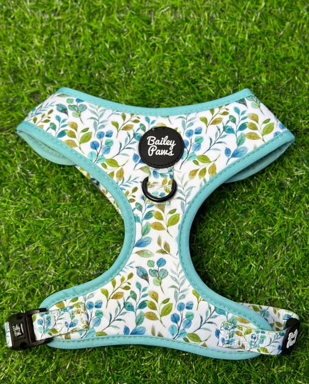 Eucalyptus Dog Harness