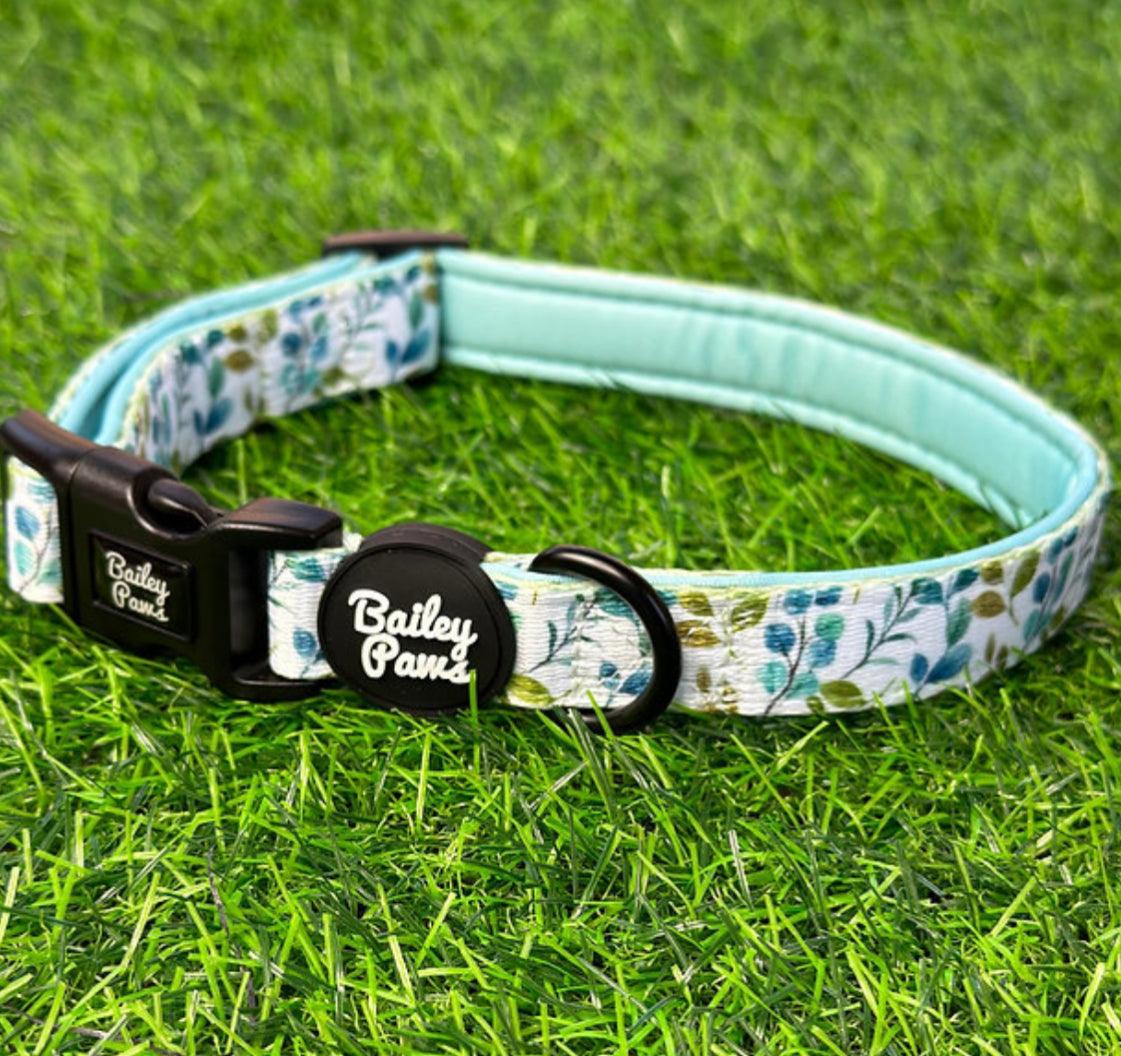 Adjustable Dog Collar