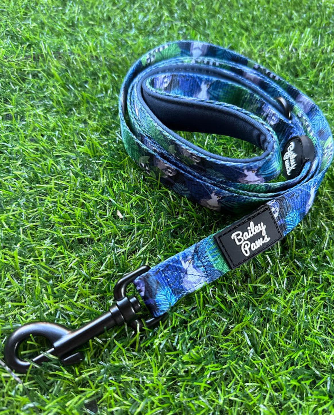 Padded Dog Lead