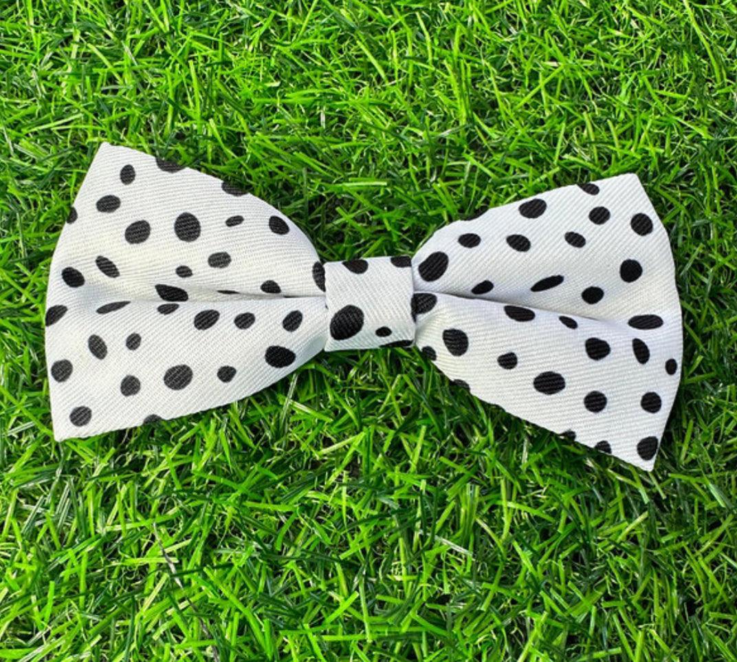 Ditsy Dotty Dog Bow - Dog Collar Bow Tie